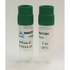 Human Fibronectin sterile solution 