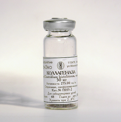 Collagenase (type 2), sterile, lyophilized