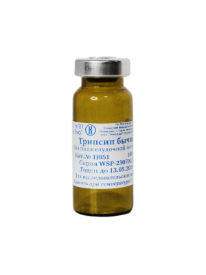 Trypsin from bovine pancreas